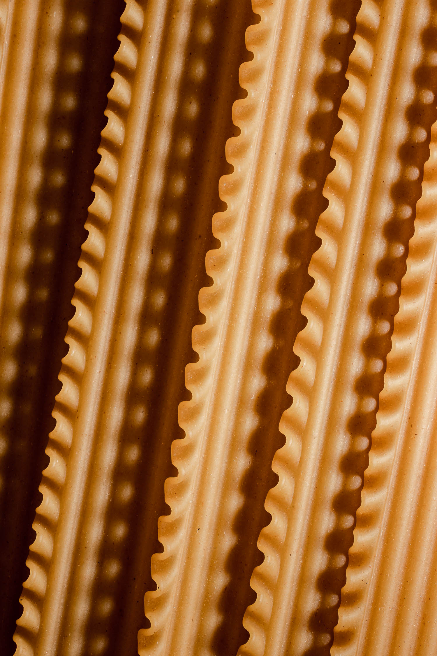 Closeup of lasagna noodles