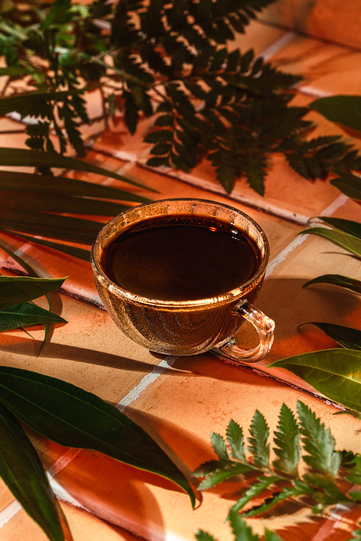 Botanical Coffee - Murielle Banackissa Photographer