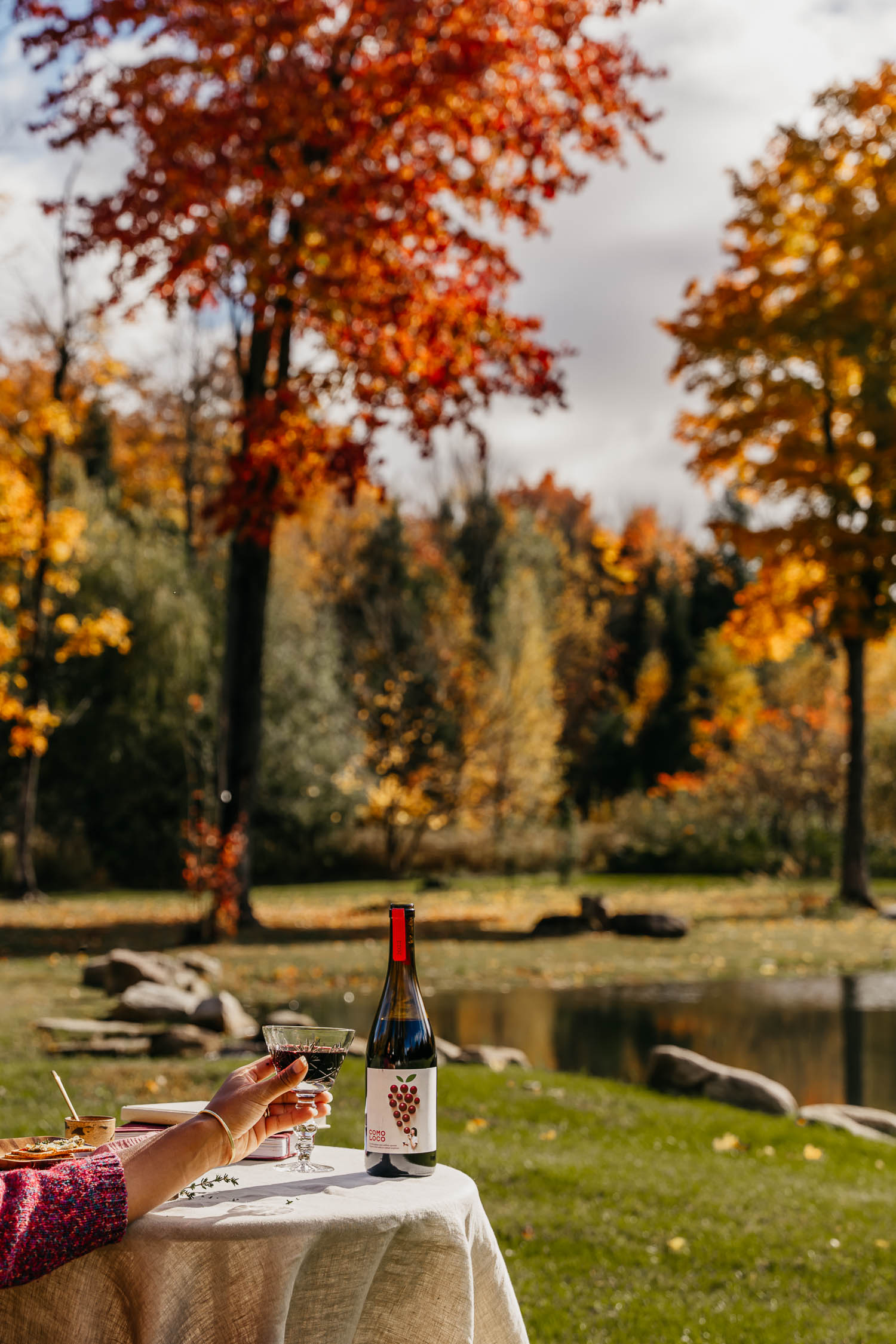 Enjoying a glass of wine outside on a fall day Comoloco