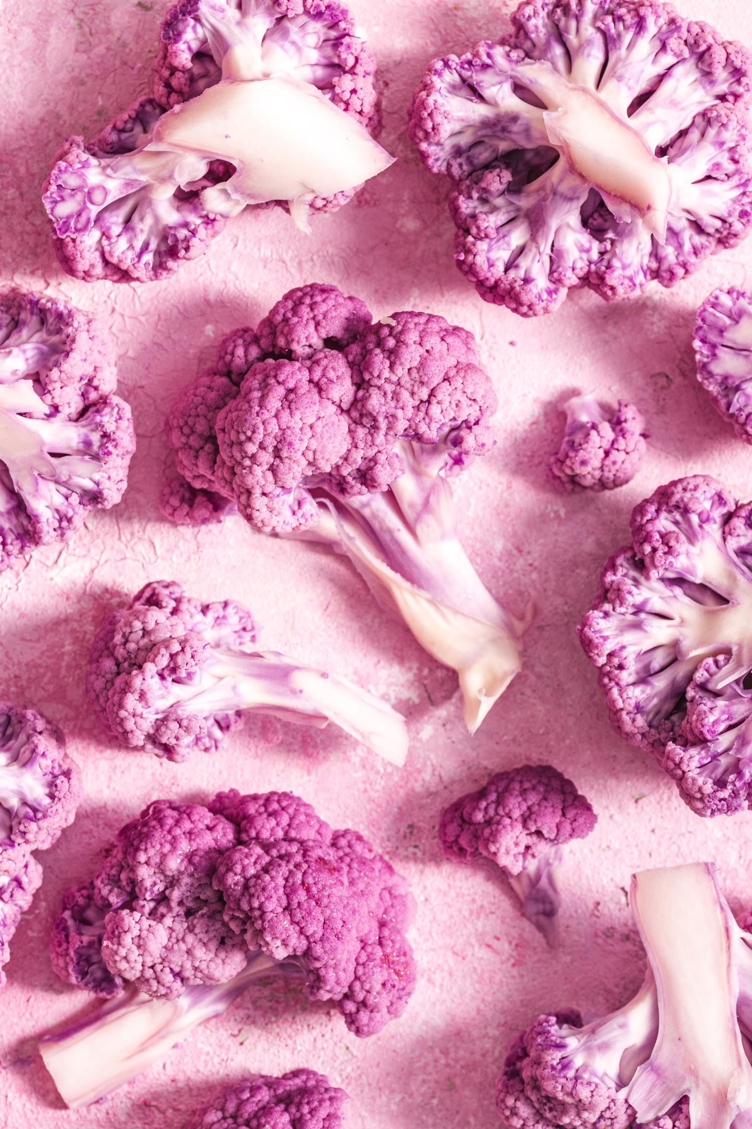Purple cauliflower on a pink backdrop