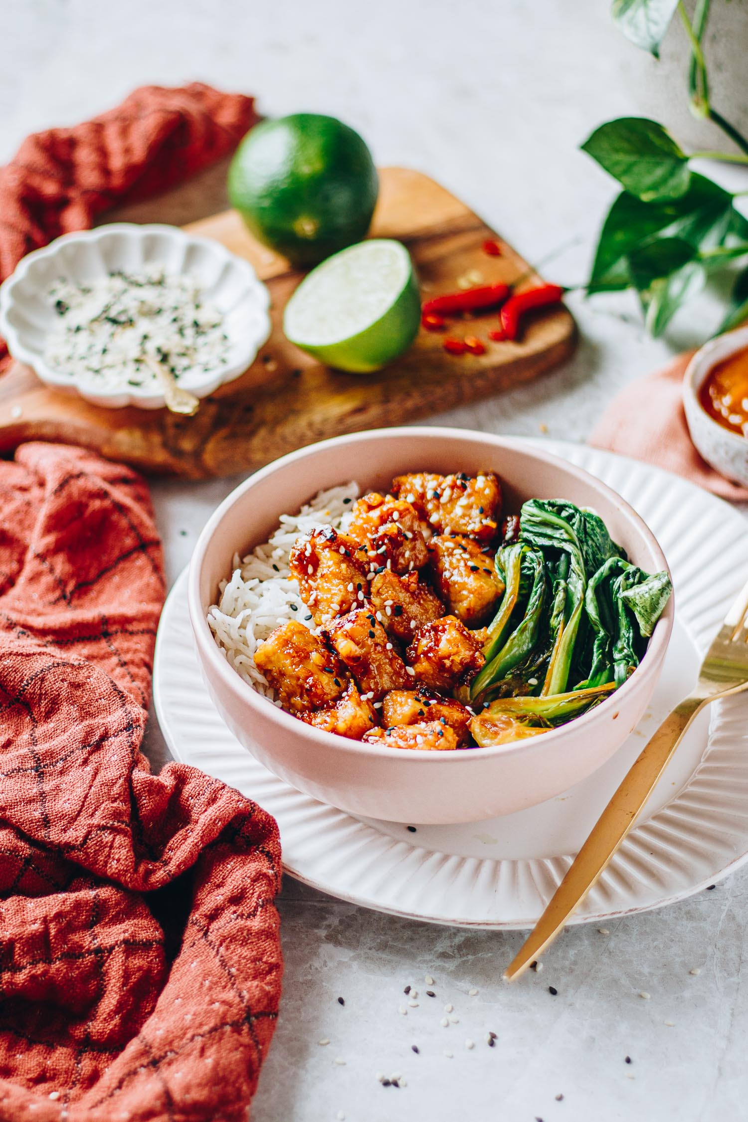 Bowl of apricot glazed tempeh served with rice and bok choy ready to eat