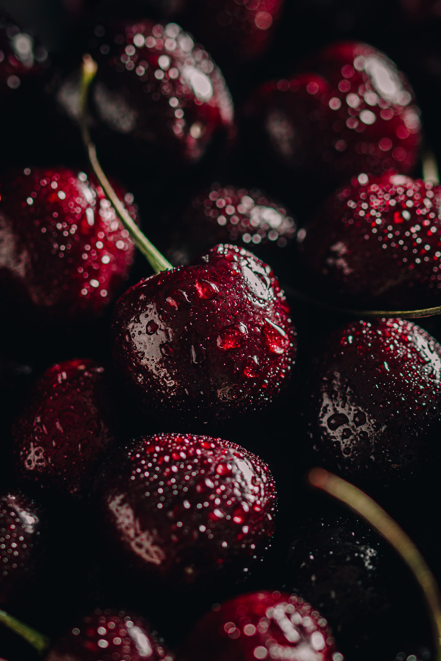 Closeup of cherries with water drops