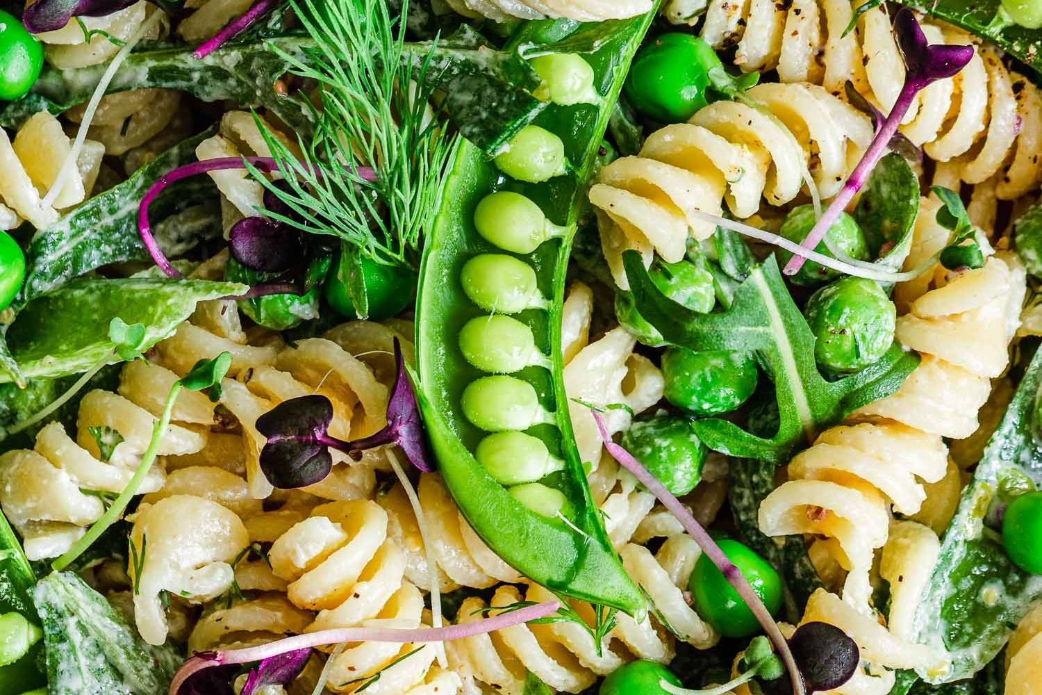 Closeup of pasta salad with microgreens, peas, and fresh herbs