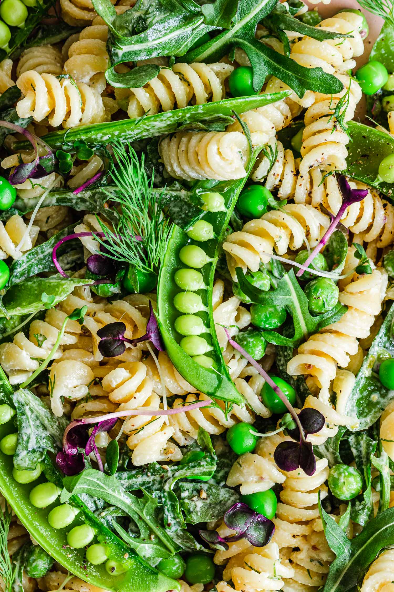 Closeup of pasta salad with microgreens, peas, and fresh herbs