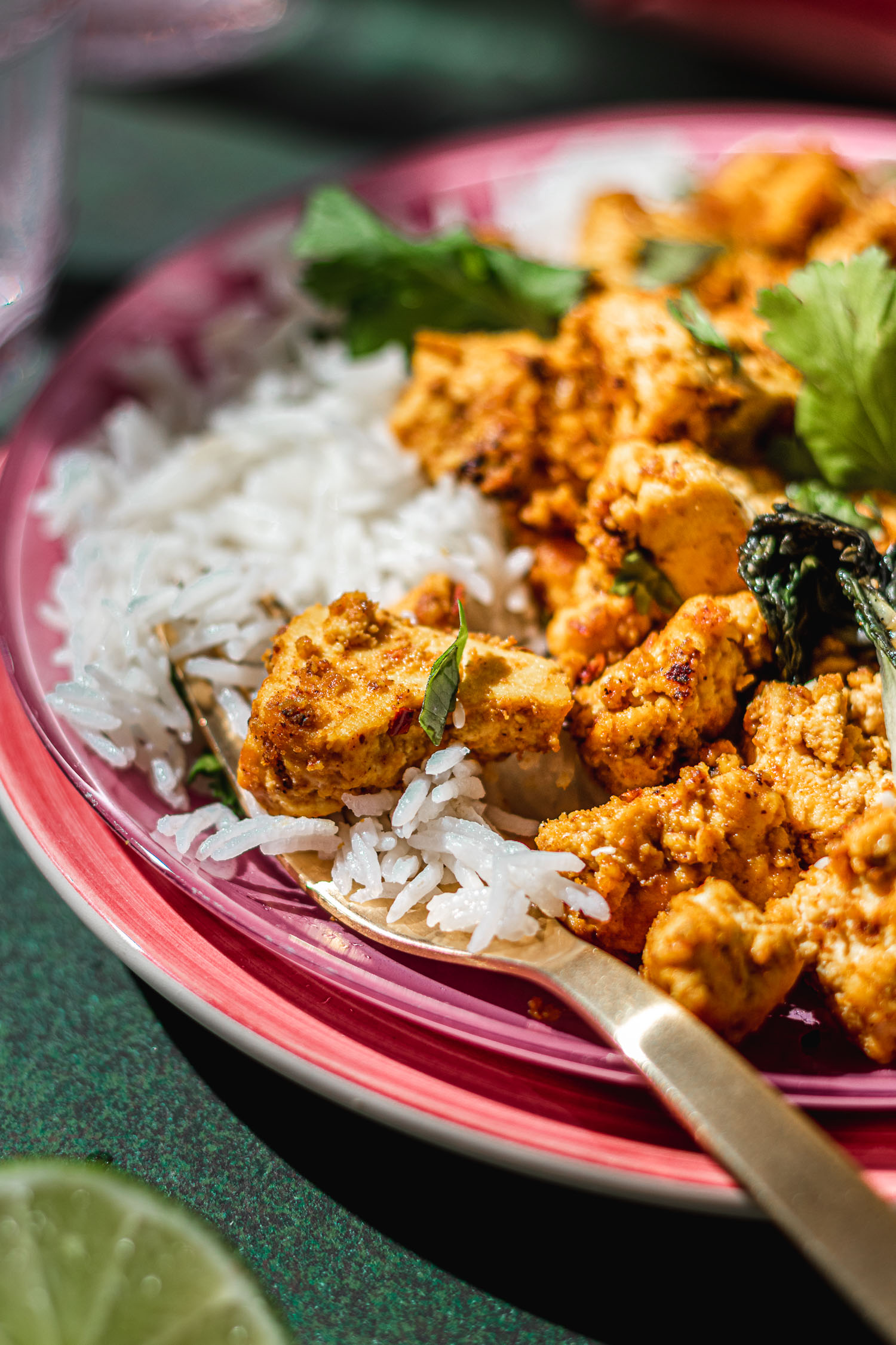 Closeup of sweet and spicy tofu in a plate with rice.