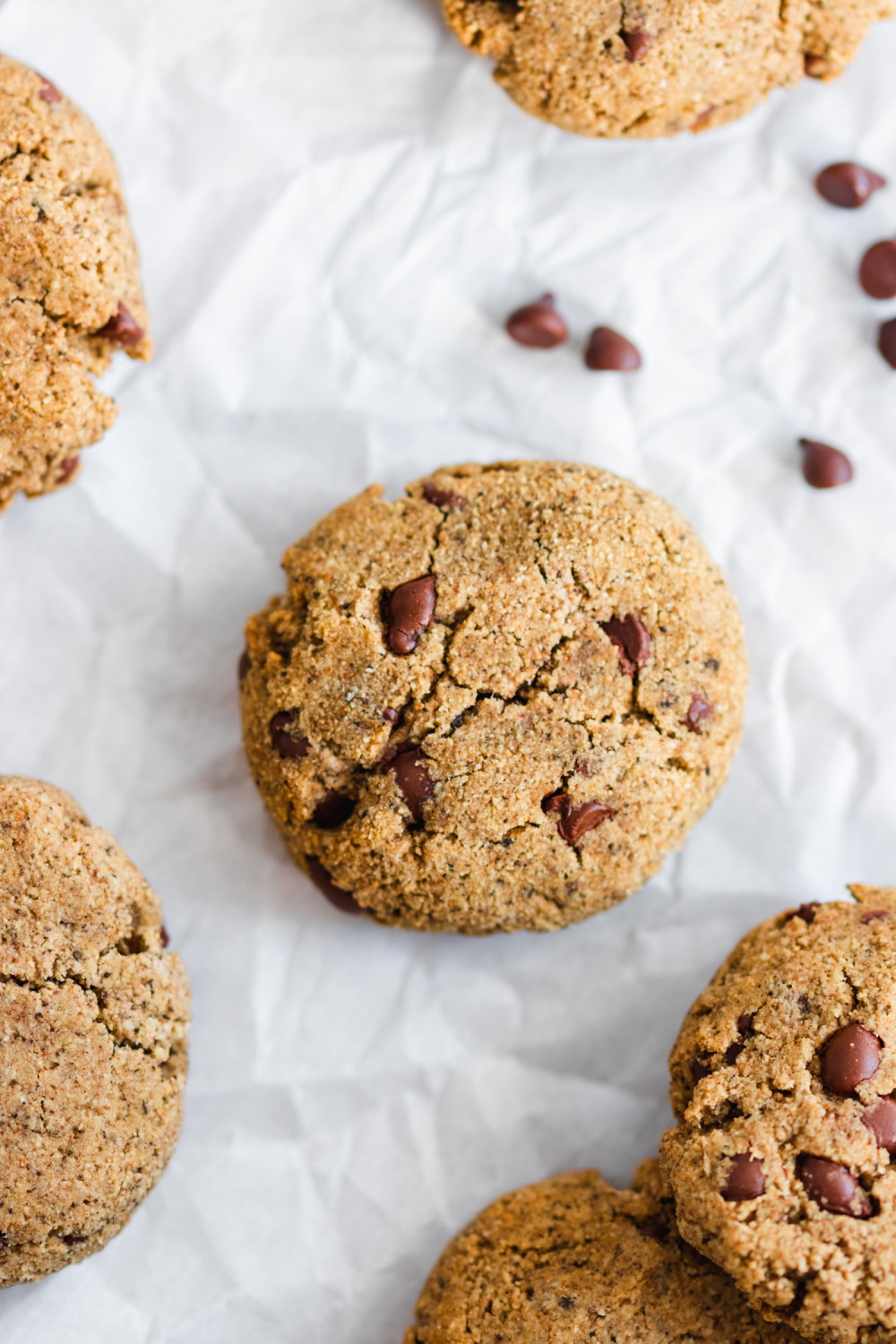 Chewy Grain Free Nut Free Chocolate Chip Cookies