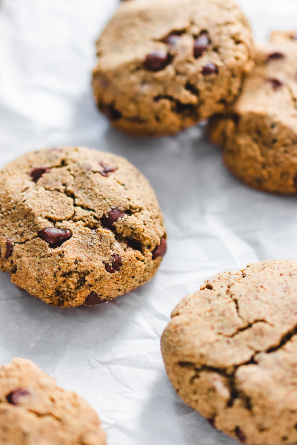 Chewy Grain Free Nut Free Chocolate Chip Cookies