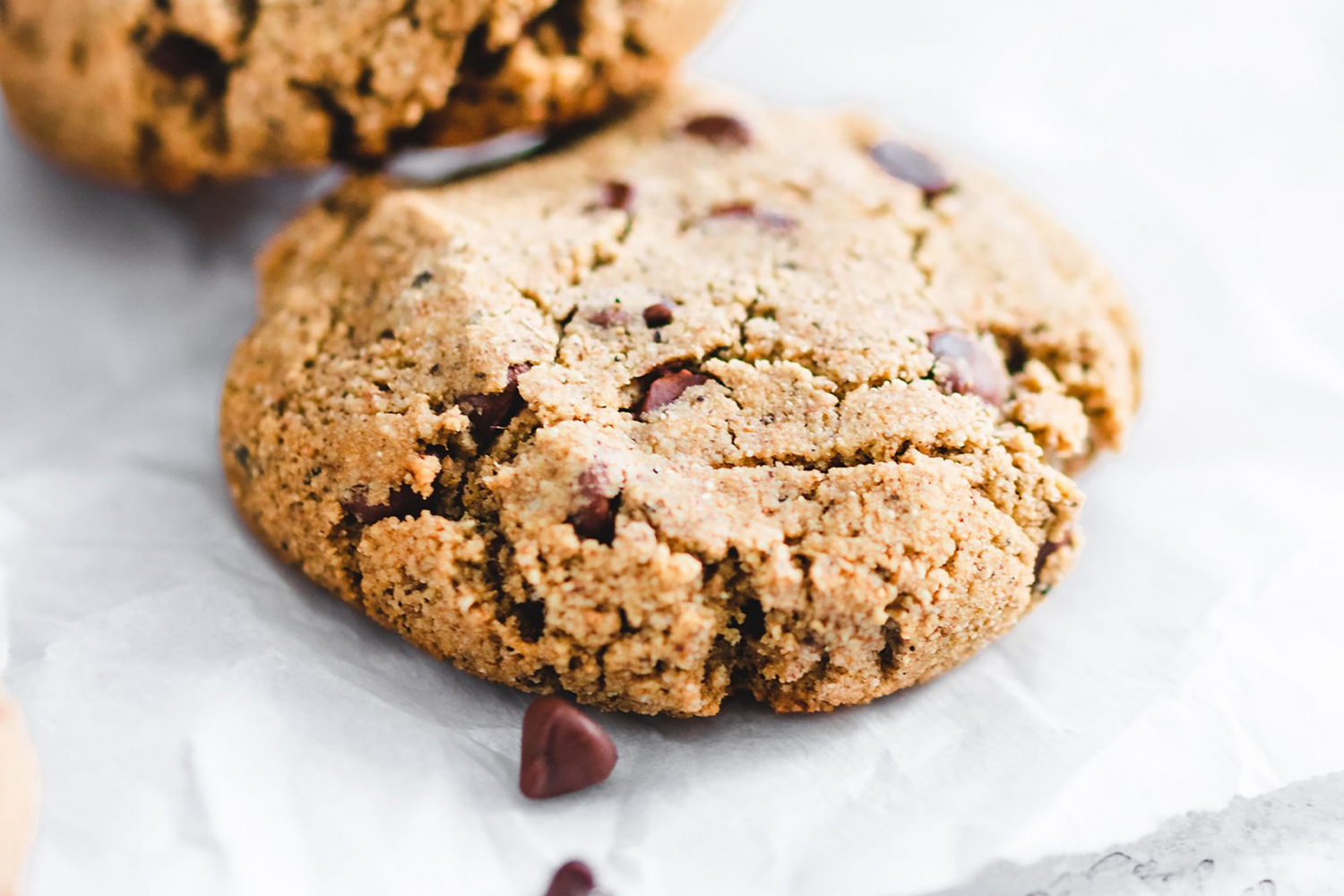 Chewy Grain Free Nut Free Chocolate Chip Cookies