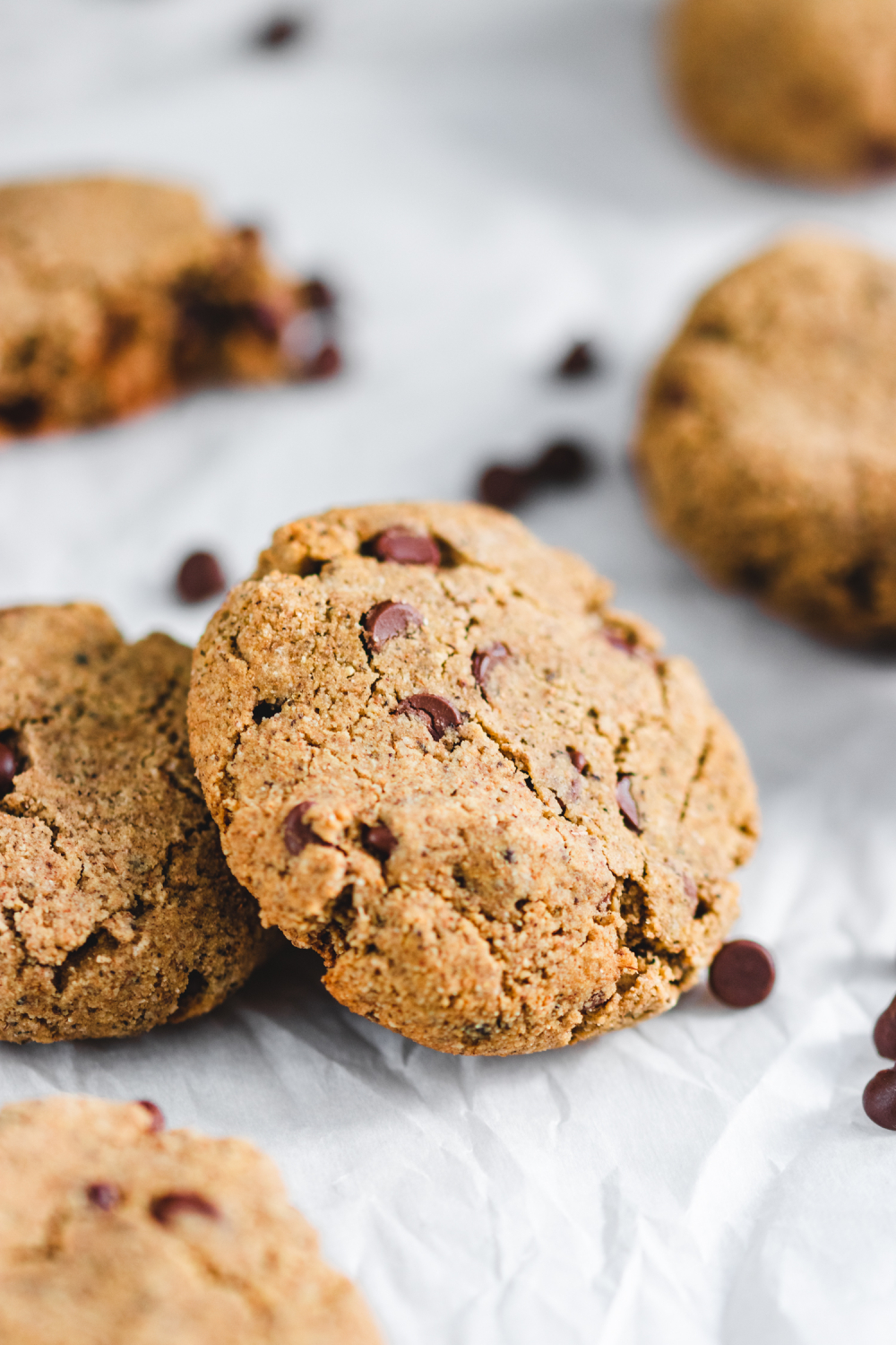 Chewy Grain Free Nut Free Chocolate Chip Cookies