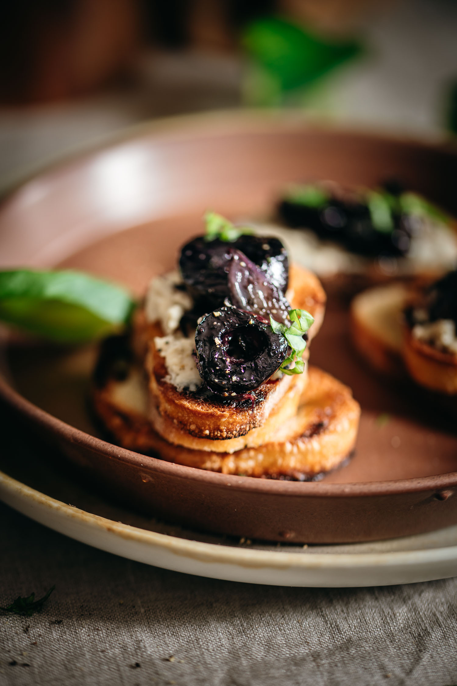 Roasted Cherry and Red Onion Crostini