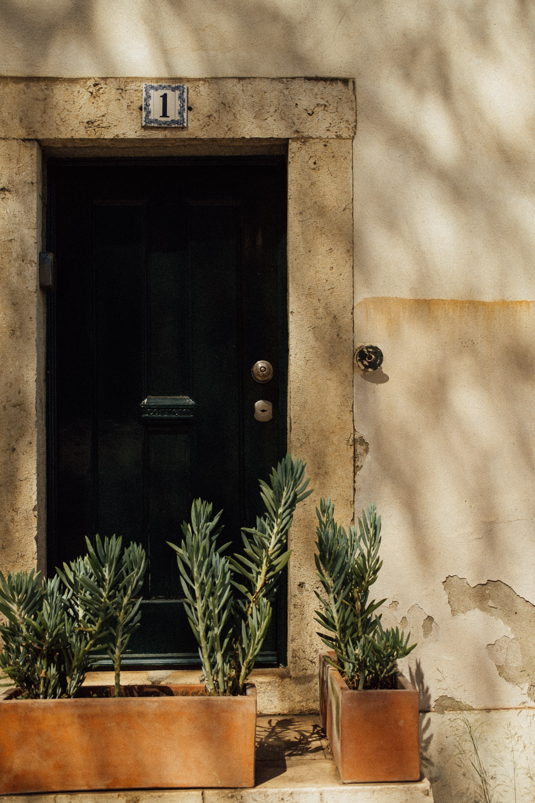 Entry door in Lisbon Portugal with Cacti