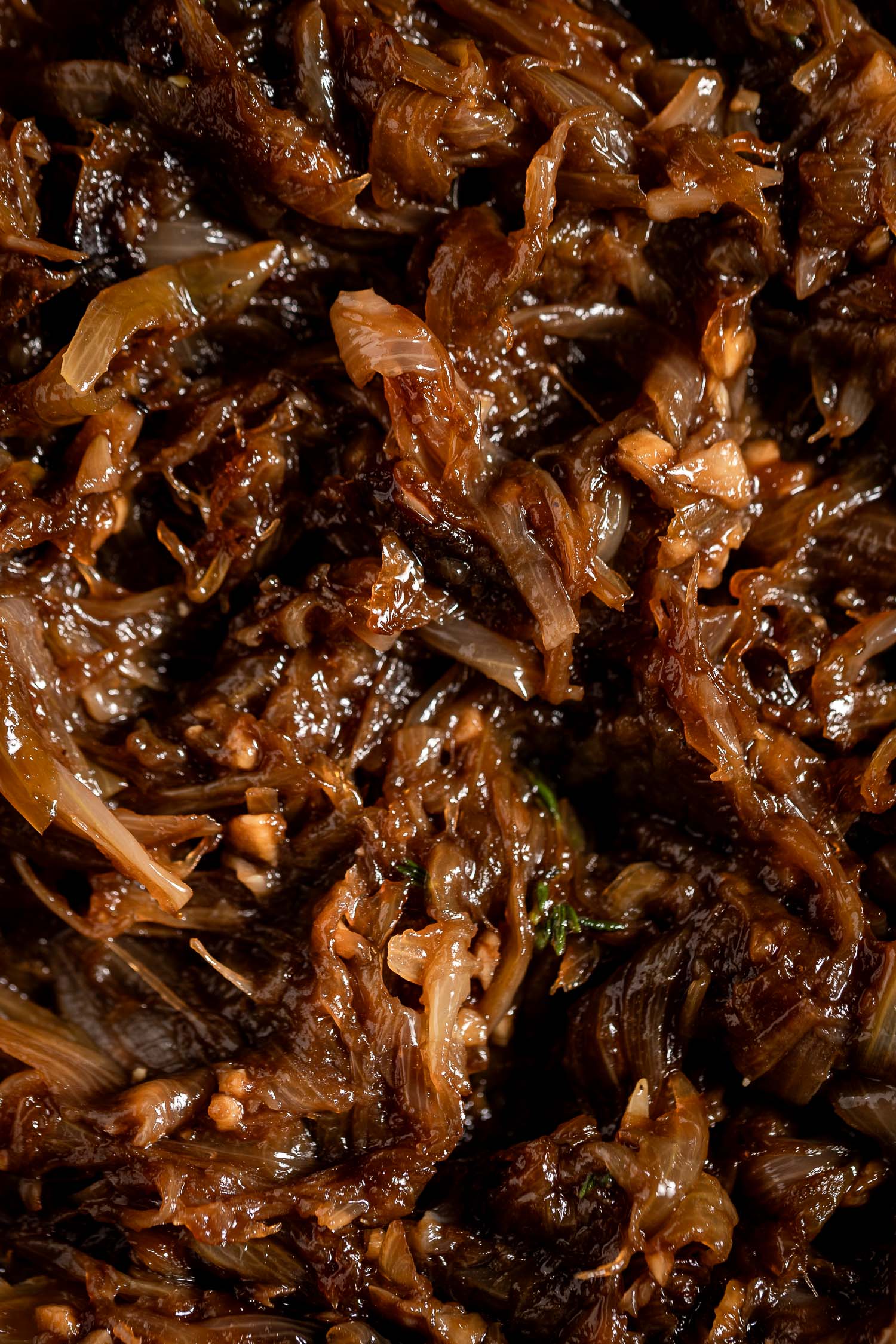 Caramelized Onion Closeup